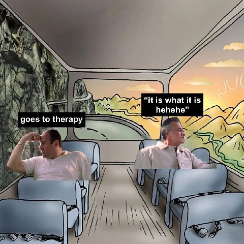 “it is what it is hehehe” goes to therapy a