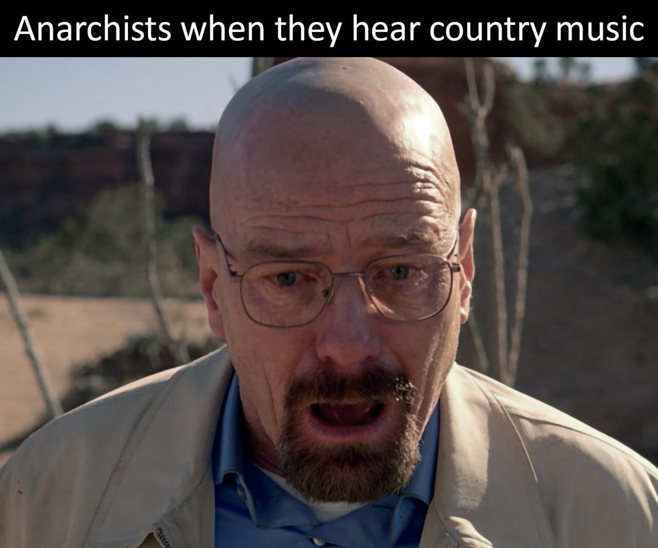 Anarchists when they hear country music