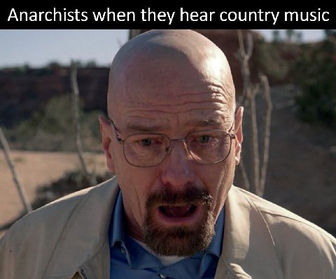 Anarchists when they hear country music