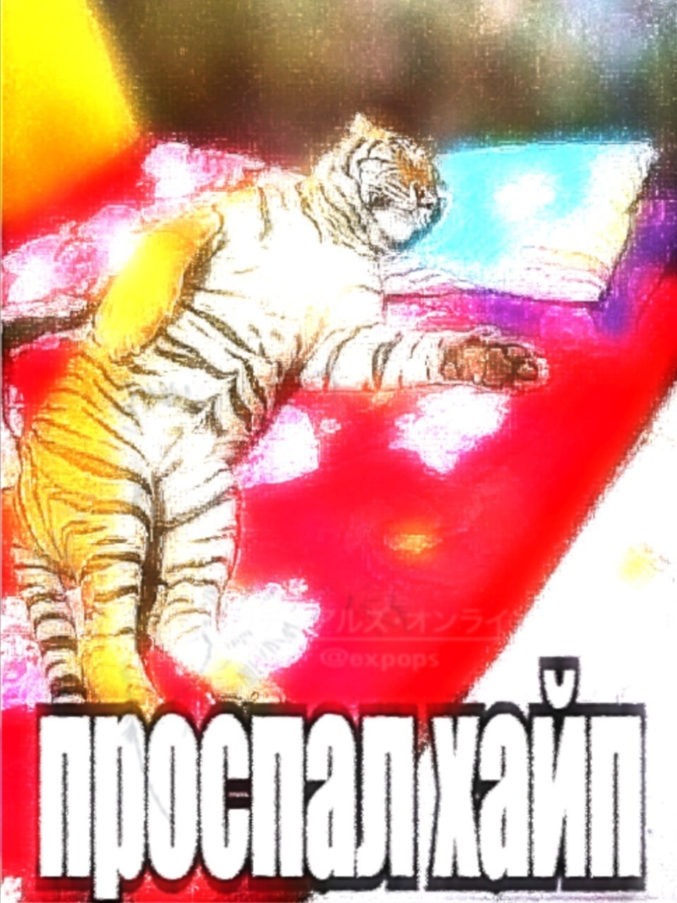 4 4 4 2%