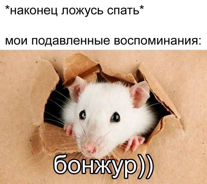 *наконец ложусь спать* мои подавленные воспоминания: 4 7 с у 27 4 (an