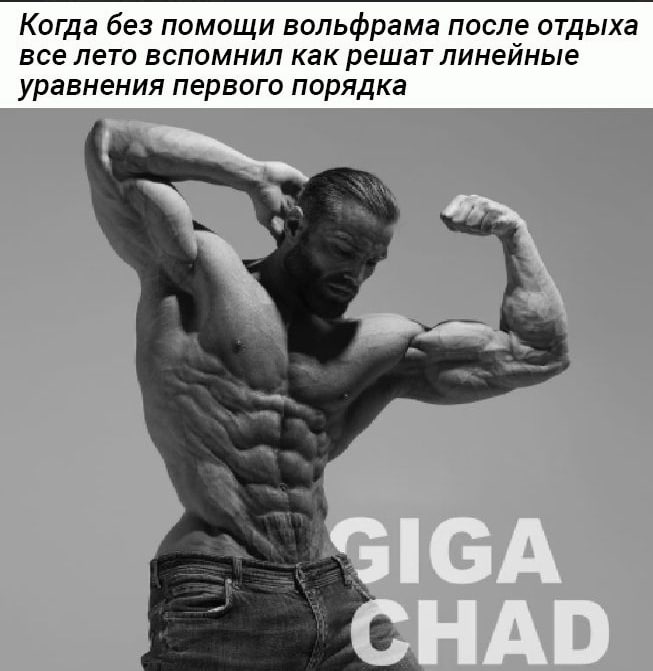 Когда без помощи вольфрама после отдыха все лето вспомнил как решат линейные уравнения первого порядка SIGA ^НАО