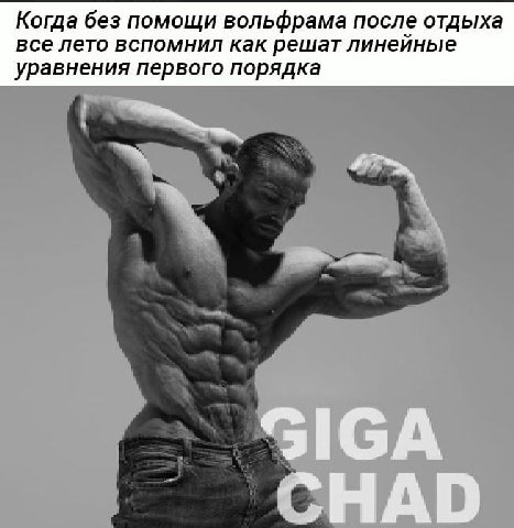 Когда без помощи вольфрама после отдыха все лето вспомнил как решат линейные уравнения первого порядка SIGA ^НАО