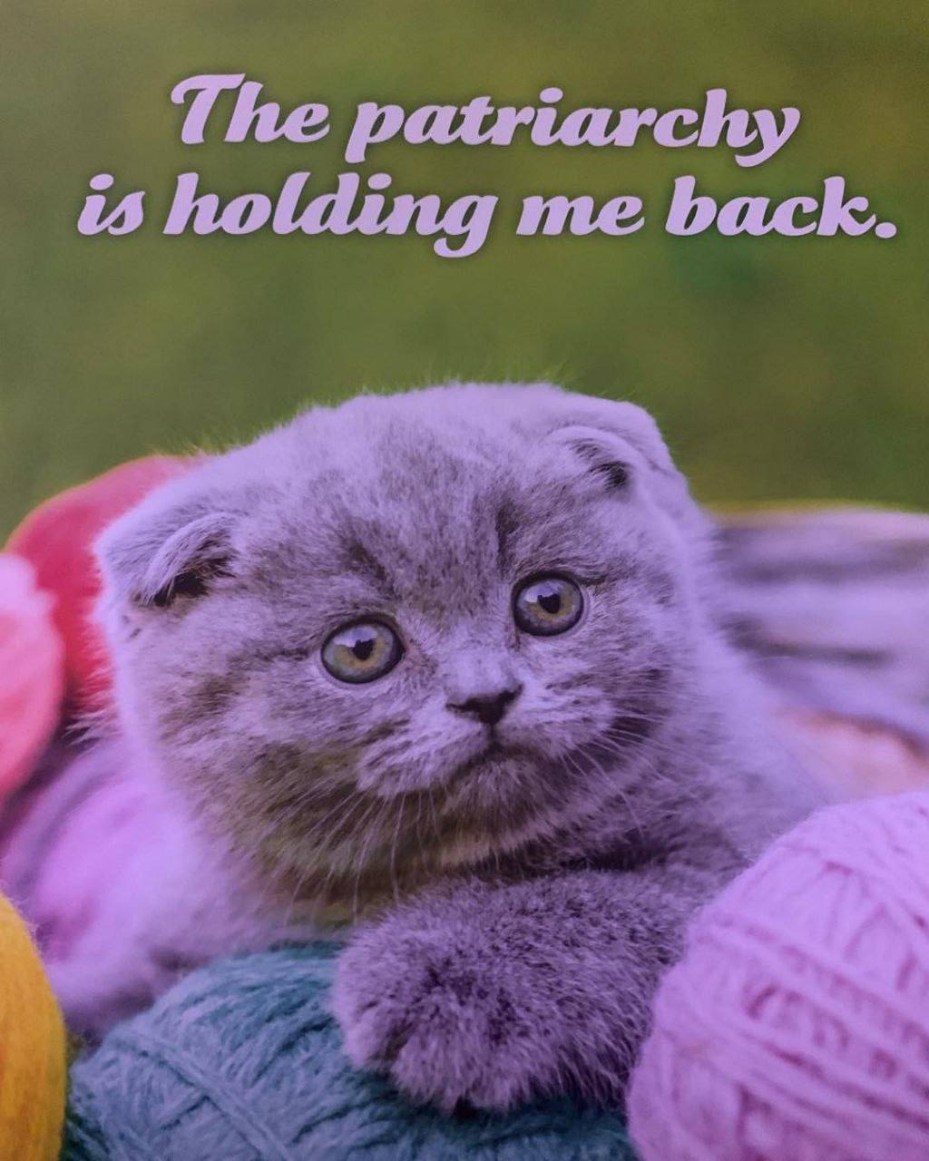 The patriarchy is holding me back