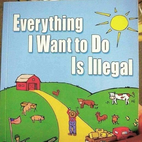 Everything Mil egal 2 is