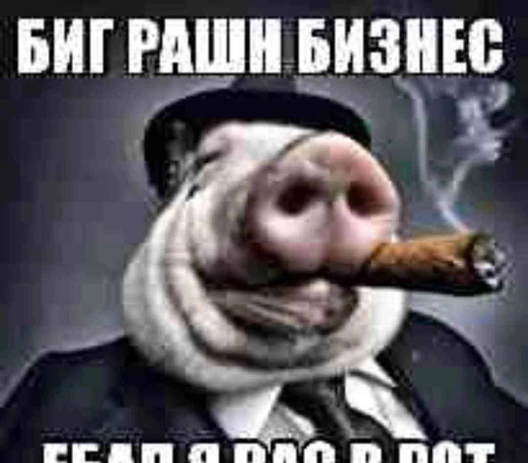 БИГРАШИ БИЗНЕС пот