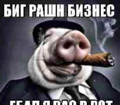 БИГРАШИ БИЗНЕС пот