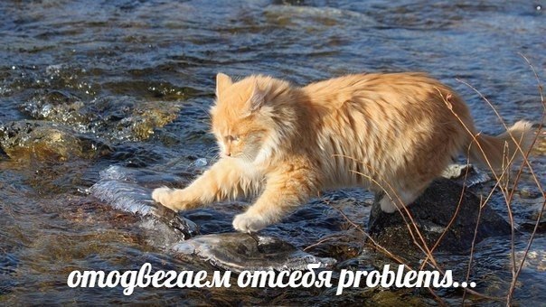 когда накидался с друзьями и спешишь стать для кого-нибудь психотерапевтом