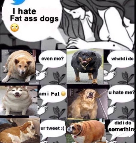 hate Fat ass dogs even