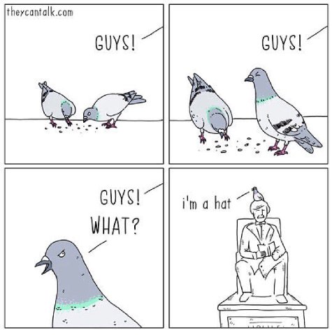 theycantalk.com CUYS!