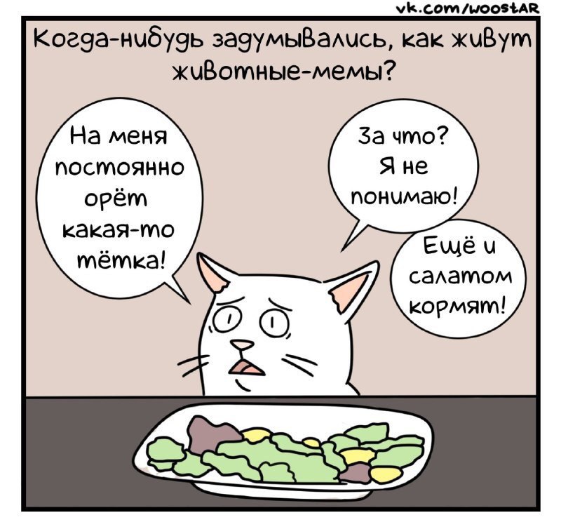 vk.com/WoostAR Koega-Hudygb как KUBym На меня За что? ПОСТОЯННО Я не понимаю! орёт какая-то Емёч салатом кормят!