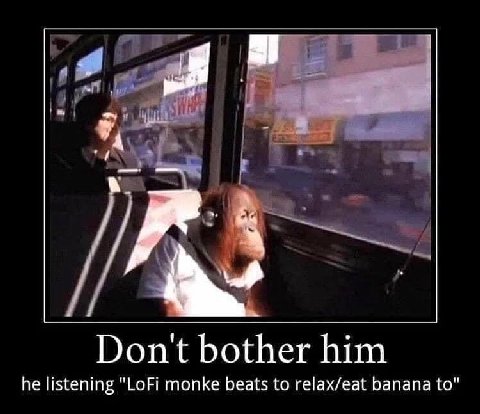 Dont bother him he listening "LoFi monke beats to relax/eat banana to"