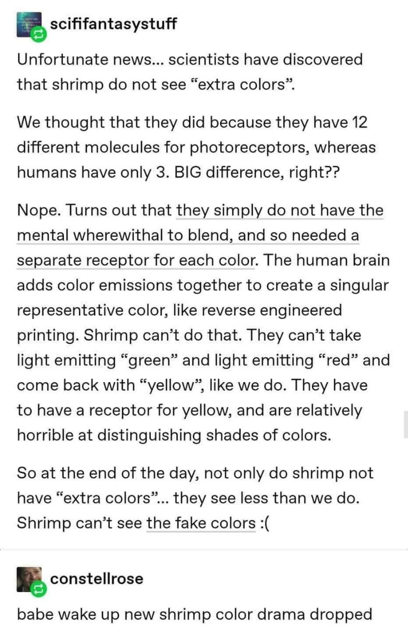 scififantasystuff Unfortunate news... scientists have discovered that shrimp not see “extra colors”. We thought that they did because they have 12 different molecules for photoreceptors, whereas human
