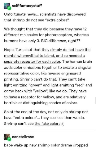 scififantasystuff Unfortunate news... scientists have discovered that shrimp not see “extra colors”. We thought that they did because they have 12 different molecules for photoreceptors, whereas human