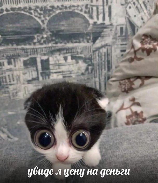 увиде цену на деньги
