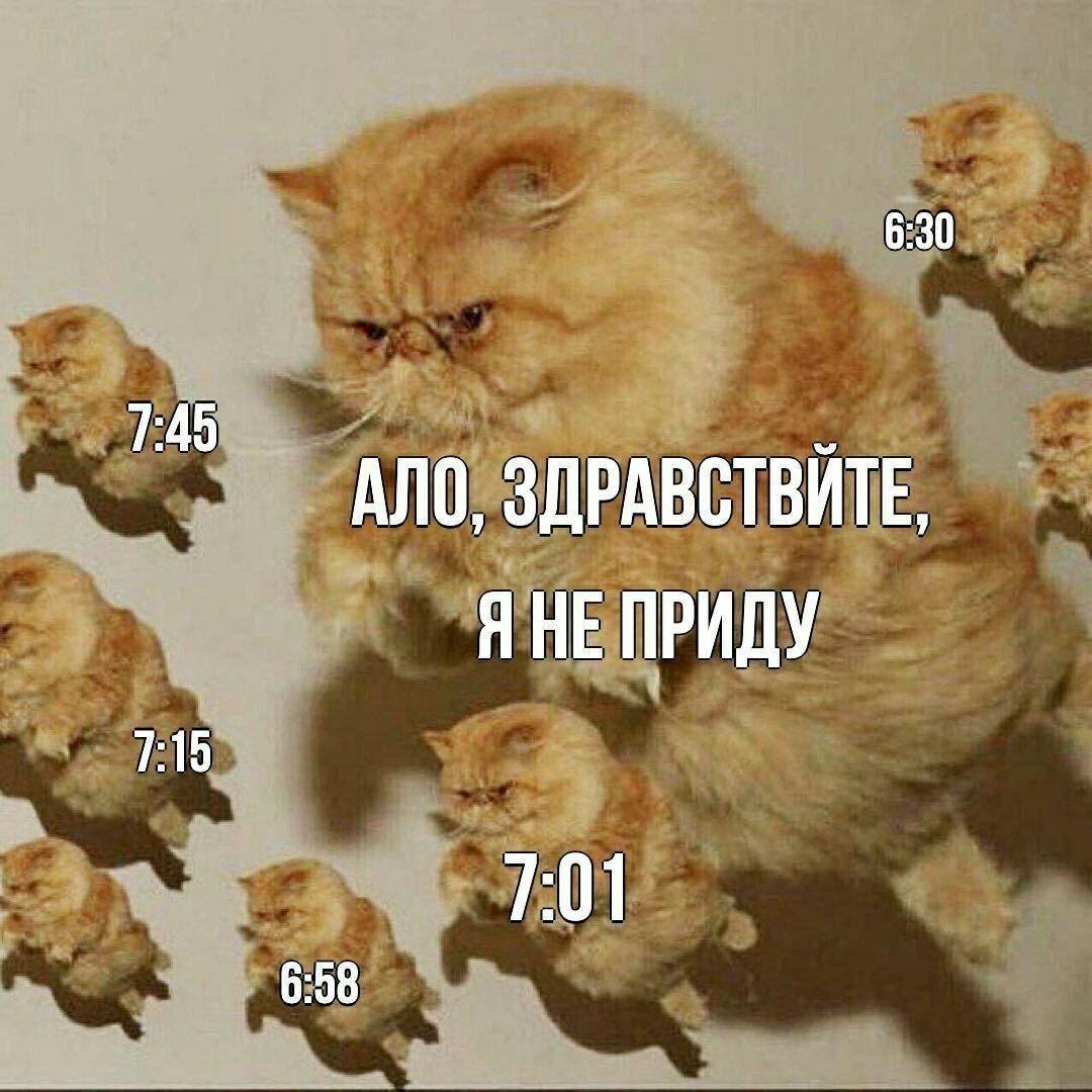 6:30 7:45 АЛО, ЗДРАВСТВИТЕ, ЯНЕ ПРИДУ 7:15 7:01 6:58