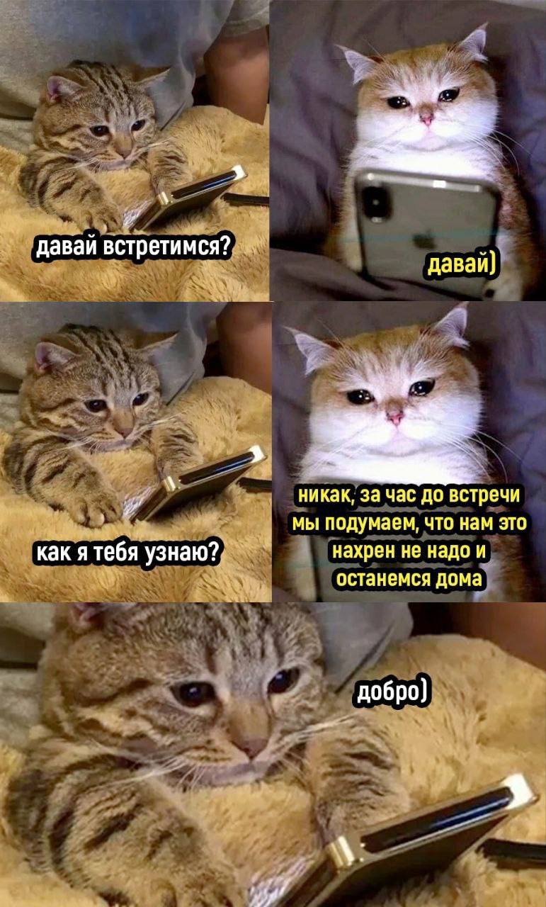 даваи встретимся? давай) никак, за час до встречи мы подумаем, что нам это как я тебя узнаю? нахрен не надо и останемся дома добро]