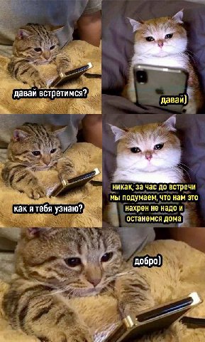 даваи встретимся? давай) никак, за час до встречи мы подумаем, что нам это как я тебя узнаю? нахрен не надо и останемся дома добро]