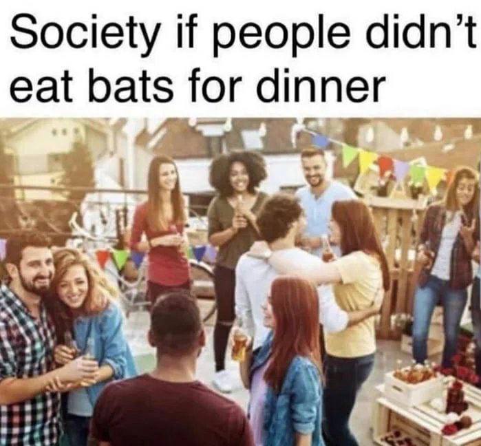 Society if people didn’t eat bats for dinner