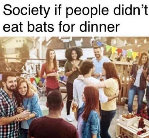 Society if people didn’t eat bats for dinner