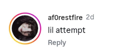 afOrestfire lil attempt Reply