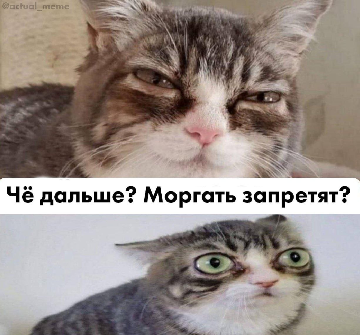 Чё дальше? Моргать запретят?