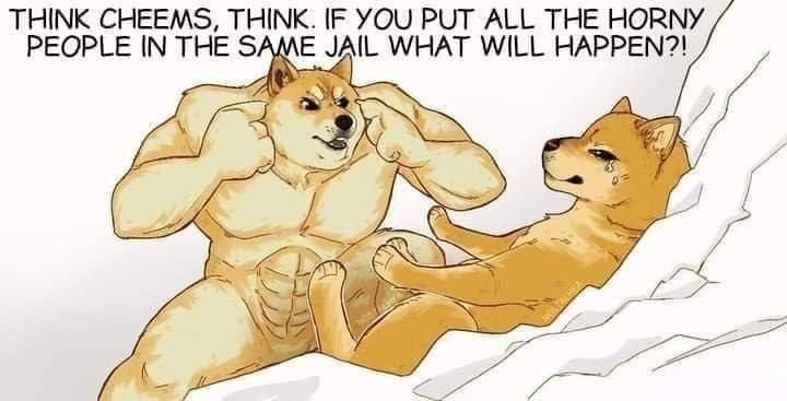 THINK CHEEMS, THINK. IF YOU PUT ALL THE HORNY PEOPLE IN THE SAME JAIL WHAT WILL HAPPEN?! у У