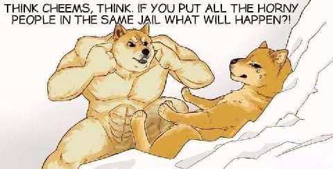 THINK CHEEMS, THINK. IF YOU PUT ALL THE HORNY PEOPLE IN THE SAME JAIL WHAT WILL HAPPEN?! у У