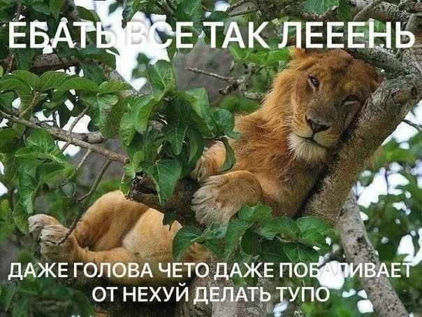 ЕВАГ ЕТАК ЛЕЕЕНЬ \4@ ДАЖЕ ГОЛОВА ЧЕТО ДАЖЕ ПО 4 ОТНЕХУЙ ДЕЛАТЬ Тупо