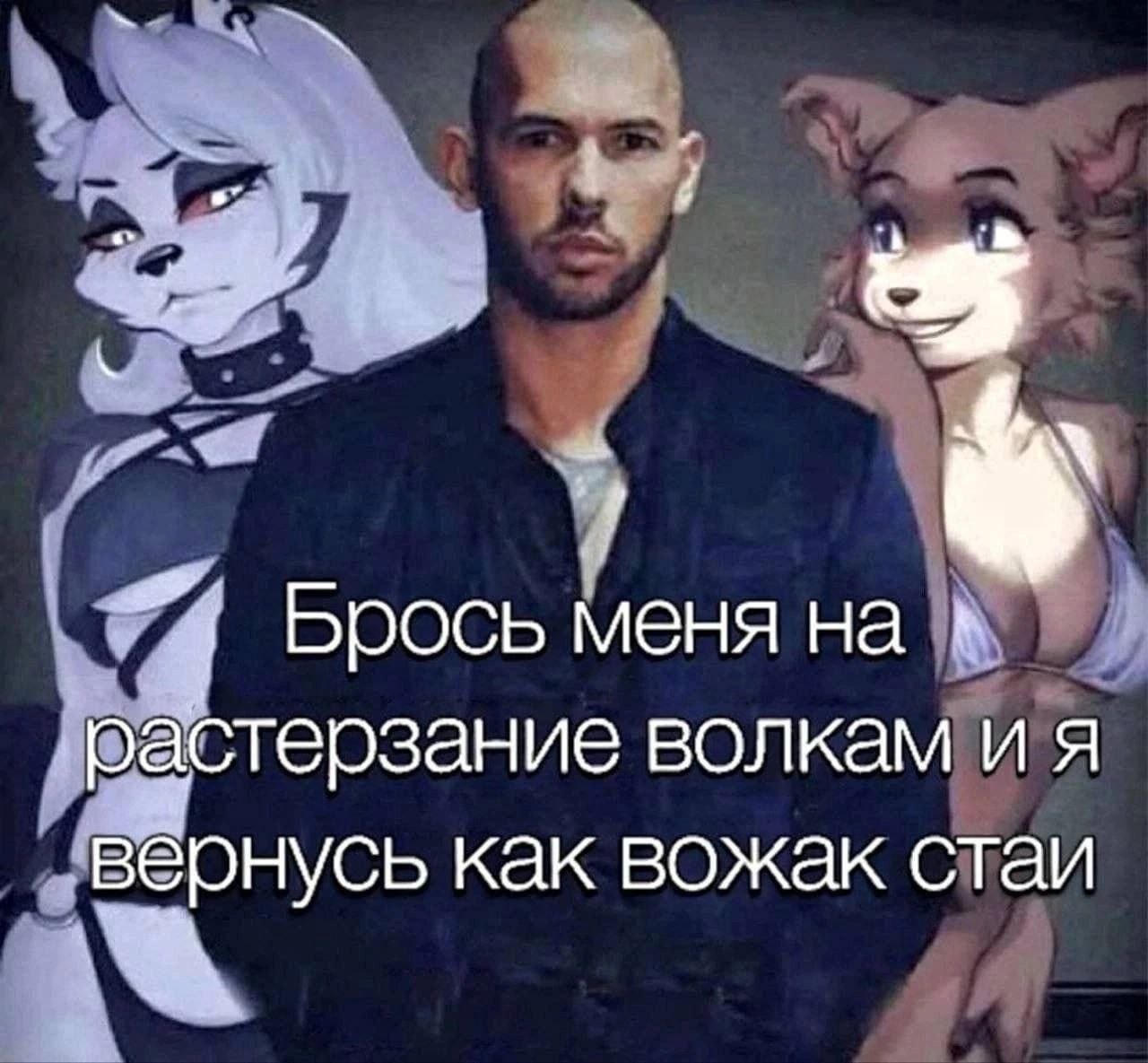 Брось меня на растерзание волкам и я вернусь как вожак стаи
