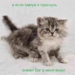 ‚если завтра я проснусь igs значит Бог в меня верит