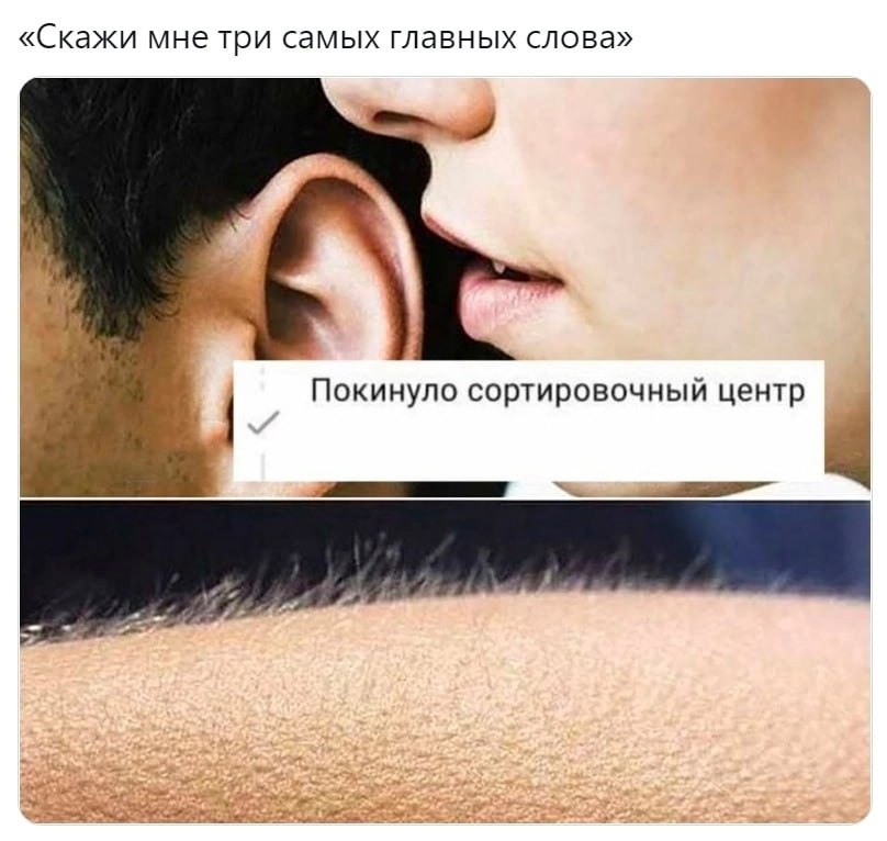 «Скажи мне три самых главных слова» Покинуло сортировочный центр