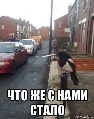 ЧТО ЖЕС НАМИ СТАЛО