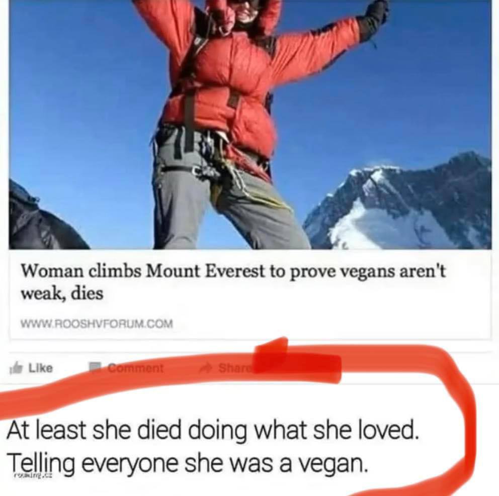 we 4 Woman climbs Mount Everest to prove vegans aren't weak, dies Like At least she died doing what she loved. Telling everyone she was a vegan.
