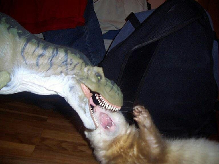 of