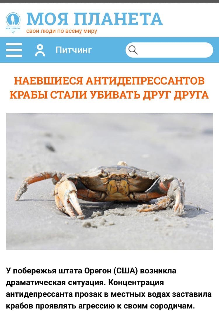 МОЯ ПЛАНЕТА свои люди по всему миру Пичинг НАЕВШИЕСЯ АНТИДЕПРЕССАНТОВ КРАБЫ СТАЛИ УБИВАТЬ ДРУГ ДРУГА У побережья штата Орегон (США) возникла драматическая ситуация. Концентрация антидепрессанта прозак