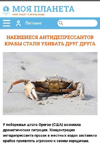 МОЯ ПЛАНЕТА свои люди по всему миру Пичинг НАЕВШИЕСЯ АНТИДЕПРЕССАНТОВ КРАБЫ СТАЛИ УБИВАТЬ ДРУГ ДРУГА У побережья штата Орегон (США) возникла драматическая ситуация. Концентрация антидепрессанта прозак