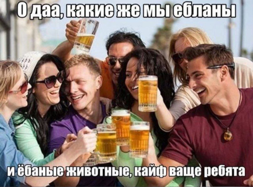 ебланы a 4, животные, кайф ваще ребята