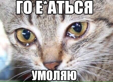 AT „5 i 8 3 he УМОЛЯЮ