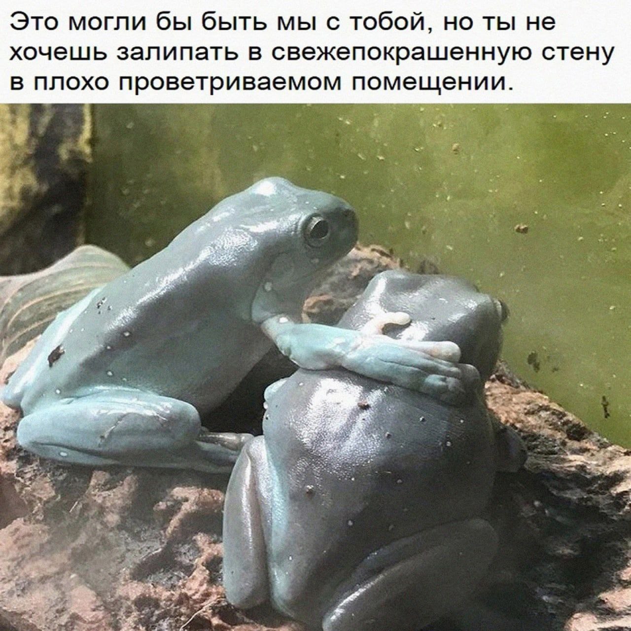 Это могли бы быть мы с тобой, но ты не хочешь залипать в свежепокрашенную стену в плохо проветриваемом помещении. у и 4 у