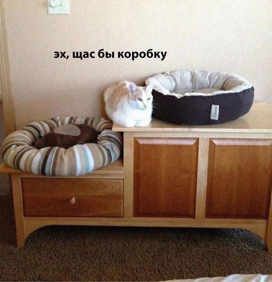 щас бы коробку