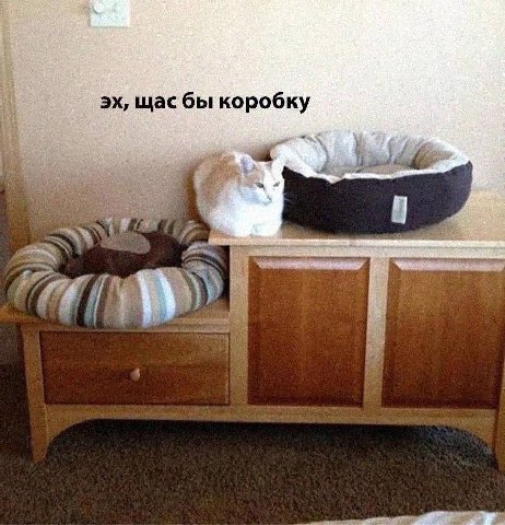 щас бы коробку