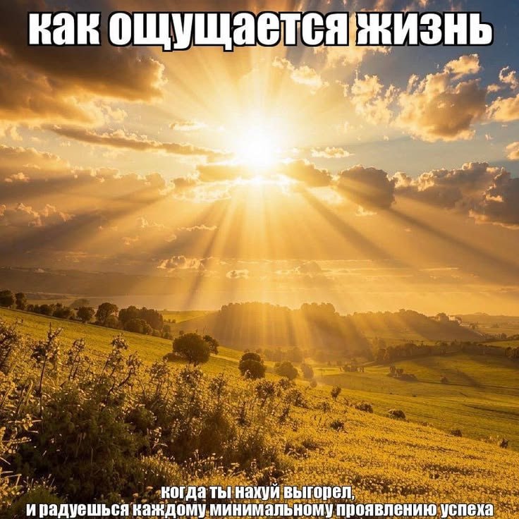 как жизнь 4 4, накуй выгорел, ирадуешься каждому минимальному проявлению успеха