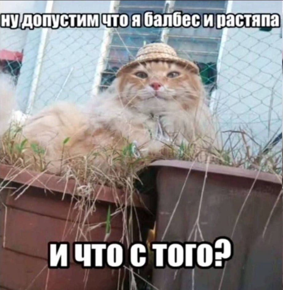 я балбеси nac A ana И ЧТО
