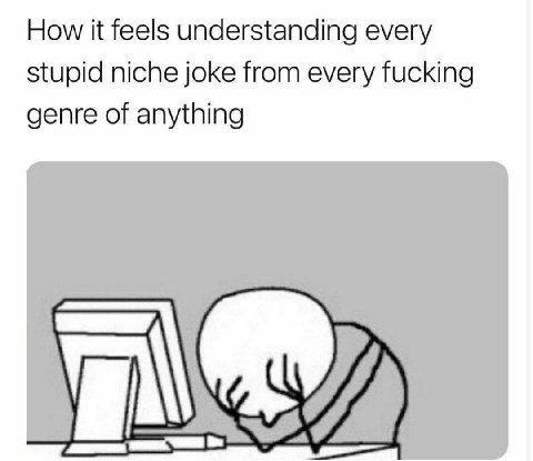 How feels understanding every stupid niche joke from every fucking genre of anything