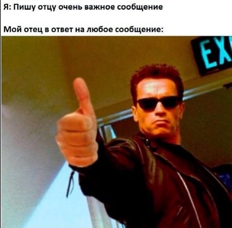 Я: Пишу отцу очень важное сообщение Мой отец в ответ на любое сообщение