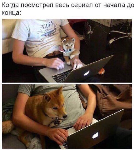 Когда посмотрел весь сериал от начала до конца: