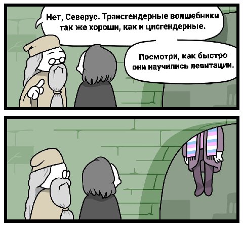 Нет, Северус. Трансгендерные волшебники так же хороши, как и цисгендерные. Посмотри, как быстро они научились левитации.