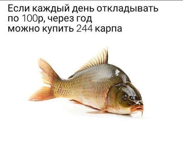 Если каждый день откладывать по через год можно купить 244 карпа