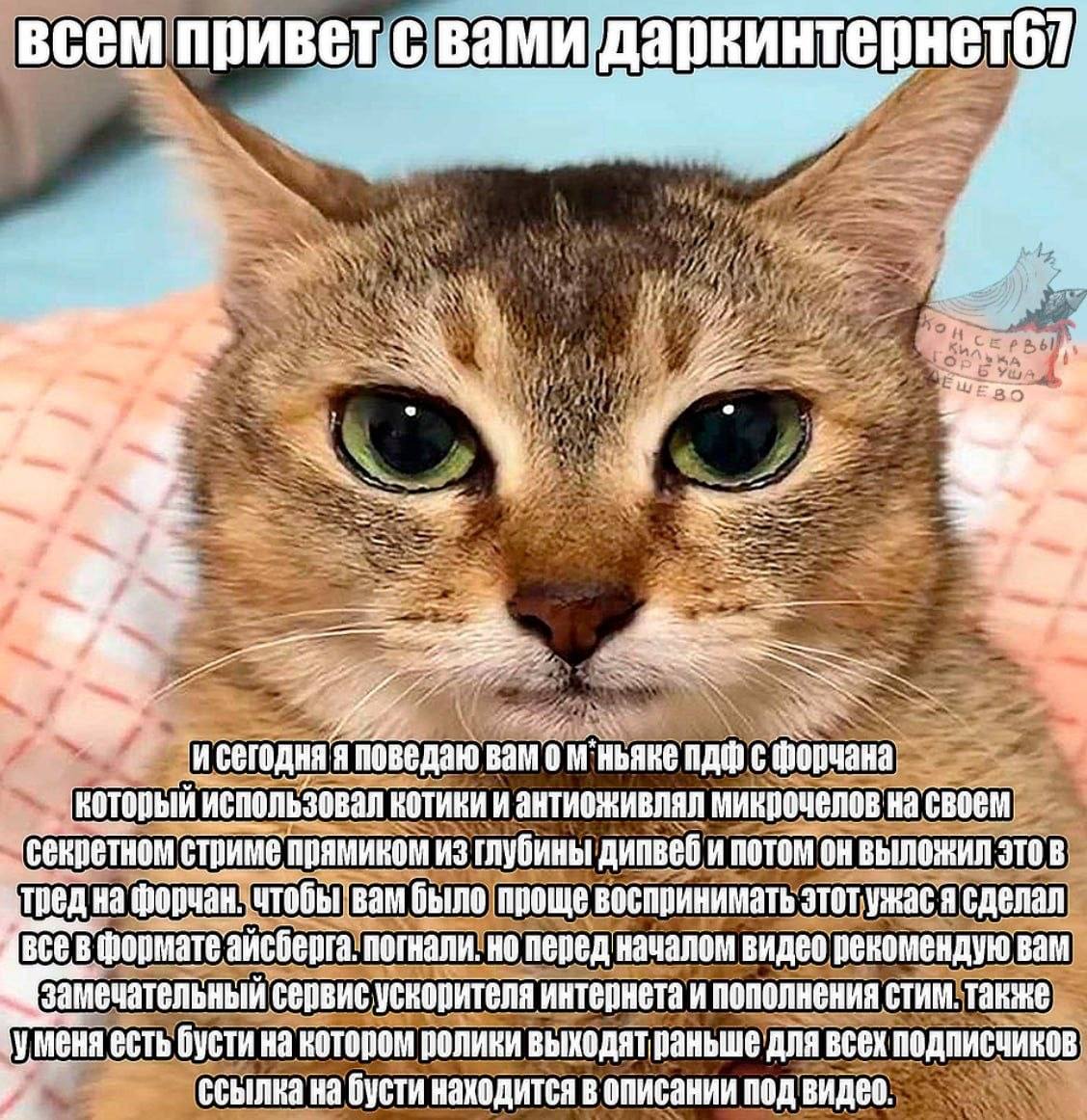 всемпривет с 7 А 4 поведаю пдфс использовал котики и антиоживлял микрочелов на своем: стриме прямиком из глубины дипвеби потом выложия это в. на чтобы вам было проще воспринимать этотужас я сделал все